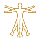 Body map